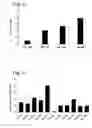 Fig. 04 - Oligomers Having Bicyclic Scaffold Moeities
