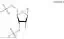 Fig. 20 - Oligomers Having Bicyclic Scaffold Moeities