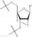 Fig. 30 - Oligomers Having Bicyclic Scaffold Moeities
