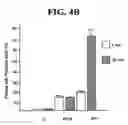 Fig. 06 - METHODS OF TREATING OR PREVENTING INFLAMMATION AND HYPERSENSITIVITY WITH OXIDATIVE REDUCTIVE POTENTIAL WATER SOLUTION