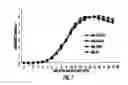 Fig. 08 - Bacteria over-expressing c-di-AMP and therapeutic methods