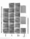 Fig. 22 - Bacteria over-expressing c-di-AMP and therapeutic methods