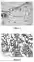 Fig. 02 - Formulation, preparation method and use of Chinese herbal medicine composition for soothing liver