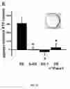 Fig. 06 - Compositions and methods for regulating blood pressure