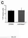 Fig. 35 - Compositions and methods for regulating blood pressure