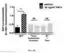 Fig. 44 - Compositions and methods for regulating blood pressure