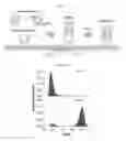 Fig. 09 - NOVEL RECOMBINANT EXOSOME AND USE THEREOF