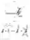 Fig. 09 - Compositions and methods of using a soluble TNF-alpha receptor modified for increased half-life