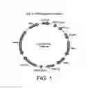 Fig. 02 - Human-derived recombinant FSH for controlled ovarian stimulation