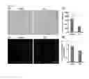 Fig. 28 - Use of pertussis toxin as a therapeutic agent