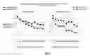 Fig. 08 - Injection paradigm for administration of botulinum toxins