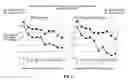 Fig. 09 - Injection paradigm for administration of botulinum toxins