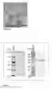 Fig. 03 - COMPOSITION AND USES THEREOF