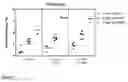 Fig. 07 - COMPOSITION AND USES THEREOF
