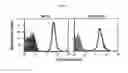 Fig. 07 - Multiple variants of meningococcal protein NMB1870