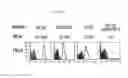 Fig. 09 - Multiple variants of meningococcal protein NMB1870