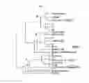 Fig. 10 - Multiple variants of meningococcal protein NMB1870