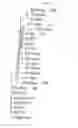 Fig. 13 - Multiple variants of meningococcal protein NMB1870