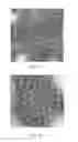 Fig. 02 - Thermal inactivation of rotavirus
