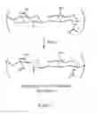 Fig. 02 - Protease triggered release of molecules from hydrogels