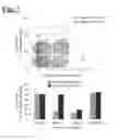 Fig. 09 - Self-assembling complex for targeting chemical agents to cells
