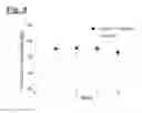 Fig. 10 - Self-assembling complex for targeting chemical agents to cells