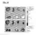 Fig. 13 - Self-assembling complex for targeting chemical agents to cells