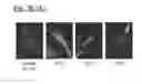 Fig. 29 - Self-assembling complex for targeting chemical agents to cells