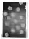 Fig. 07 - TARGETED NANOPARTICLES
