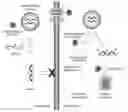 Fig. 01 - IMMOLATIVE CELL-PENETRATING COMPLEXES FOR NUCLEIC ACID DELIVERY