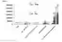Fig. 02 - IMMOLATIVE CELL-PENETRATING COMPLEXES FOR NUCLEIC ACID DELIVERY