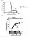 Fig. 03 - IMMOLATIVE CELL-PENETRATING COMPLEXES FOR NUCLEIC ACID DELIVERY