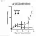 Fig. 06 - IMMOLATIVE CELL-PENETRATING COMPLEXES FOR NUCLEIC ACID DELIVERY