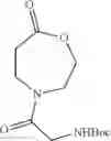 Fig. 56 - IMMOLATIVE CELL-PENETRATING COMPLEXES FOR NUCLEIC ACID DELIVERY