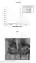 Fig. 09 - INDOCYANINE GREEN FORMULATIONS AND METHODS FOR IMAGING OF THE URINARY PATHWAYS