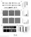 Fig. 11 - Gas-filled structures and related compositions, methods and systems to image a target site