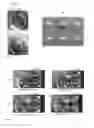 Fig. 04 - ANHYDROUS BIOCOMPATIBLE COMPOSITE MATERIALS