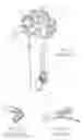 Fig. 02 - Steerable multilumen catheter shaft