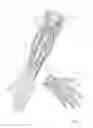 Fig. 02 - DEVICES AND METHODS FOR CATHETER PLACEMENT WITHIN A VEIN