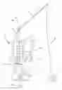 Fig. 01 - Training equipment comprising harness for ball training