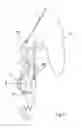 Fig. 04 - Training equipment comprising harness for ball training