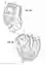 Fig. 03 - Glove shaping and protecting device