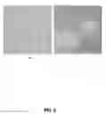 Fig. 06 - Method for removal of metals from aqueous solutions using bio adsorbents