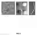 Fig. 07 - Method for removal of metals from aqueous solutions using bio adsorbents