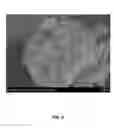 Fig. 07 - Micron-scale cerium oxide particle having multi-core single-shell structure and preparation method therefor