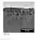 Fig. 08 - Multifunctional cerium-based nanomaterials and methods for producing the same