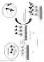 Fig. 02 - Methods for conducting multiplexed assays