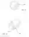 Fig. 09 - Paint roller shield