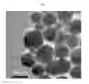 Fig. 02 - COPPER-CONTAINING PARTICLES, CONDUCTOR-FORMING COMPOSITION, METHOD OF PRODUCING CONDUCTIOR, CONDUCTOR, AND APPARATUS