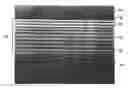 Fig. 01 - Method for making multilayer coextruded films using a layer sequence repeater module